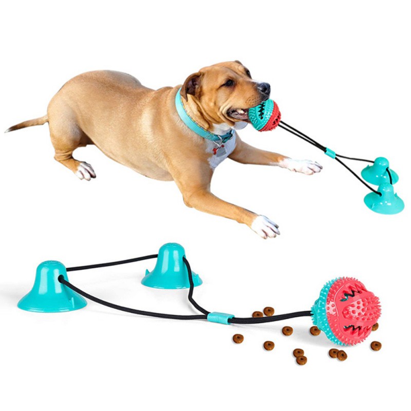 Dog Molar Bite Toy With Suction Cup Interaction Dog Rope Toy Pet